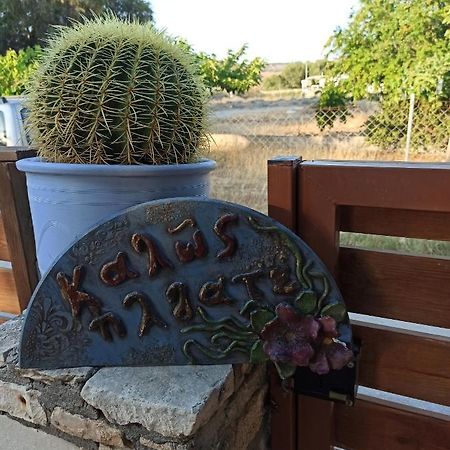 Cactus Home Kalamaki  Exterior photo
