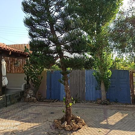 Cactus Home Kalamaki  Exterior photo