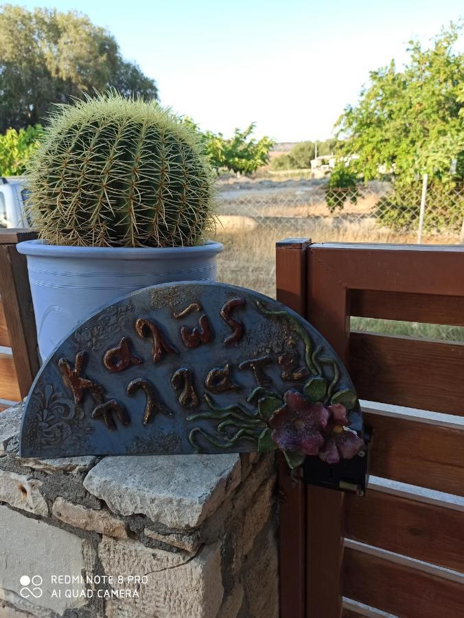 Cactus Home Kalamaki  Exterior photo