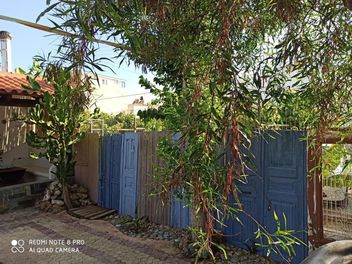 Cactus Home Kalamaki  Exterior photo