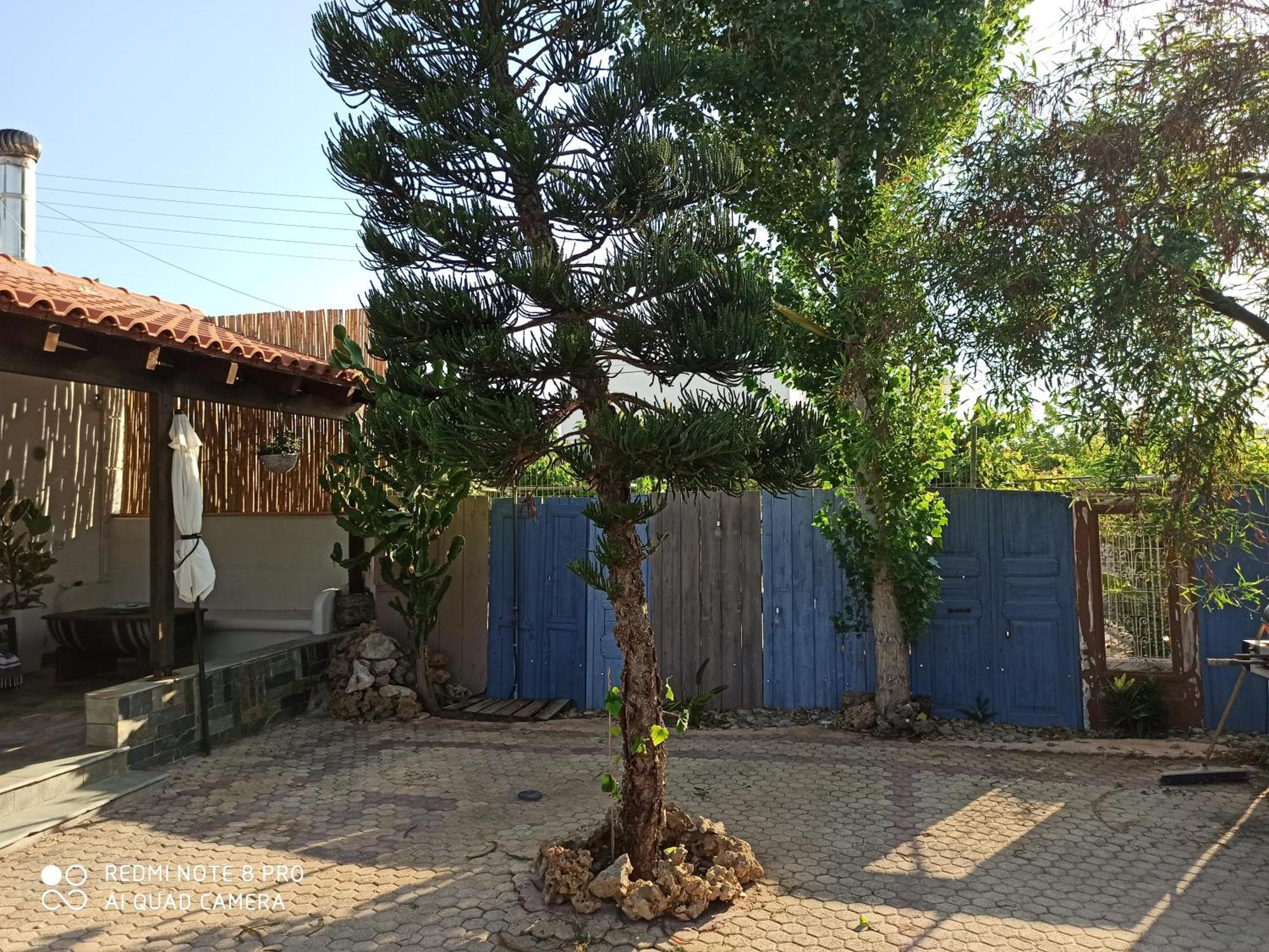 Cactus Home Kalamaki  Exterior photo